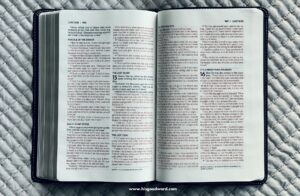 Gospel of Luke 3-8 Overview