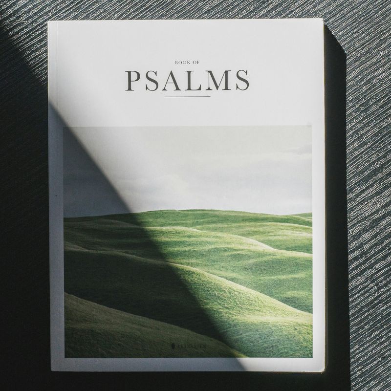 Book 1 Psalms (Psalms 1–41)