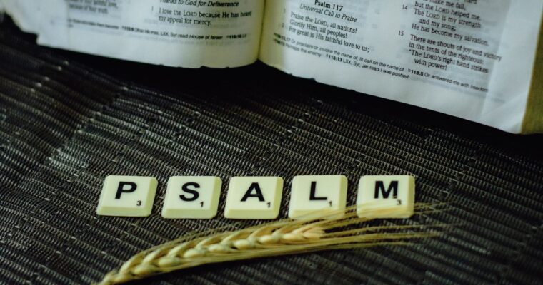 Summary of The Book of Psalms