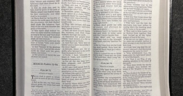 Book 3 Psalms (Psalms 73-89) Key Themes