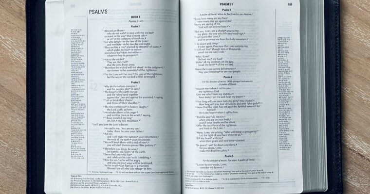 Book 1 Psalms (Psalms 1–41)